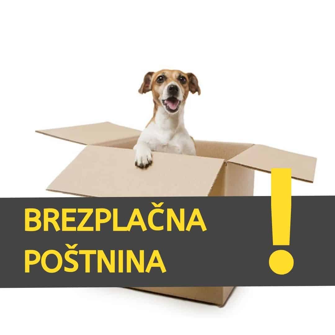 Brezplačna poštnina